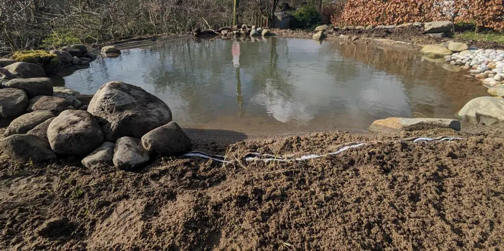 A newly constructed wildlife pond