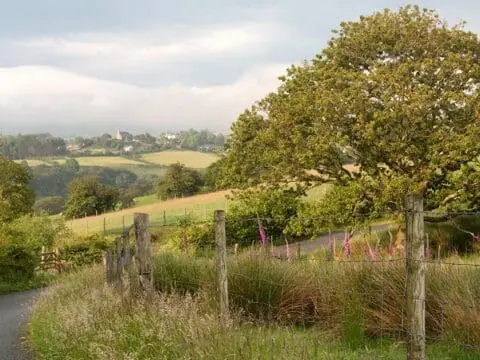 A Welsh countryside scene in Snowdonia