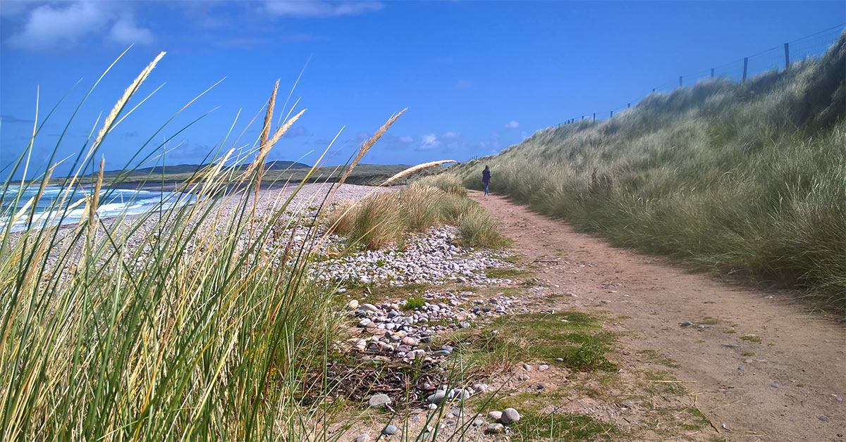 A pebble beach backed by sand dunes