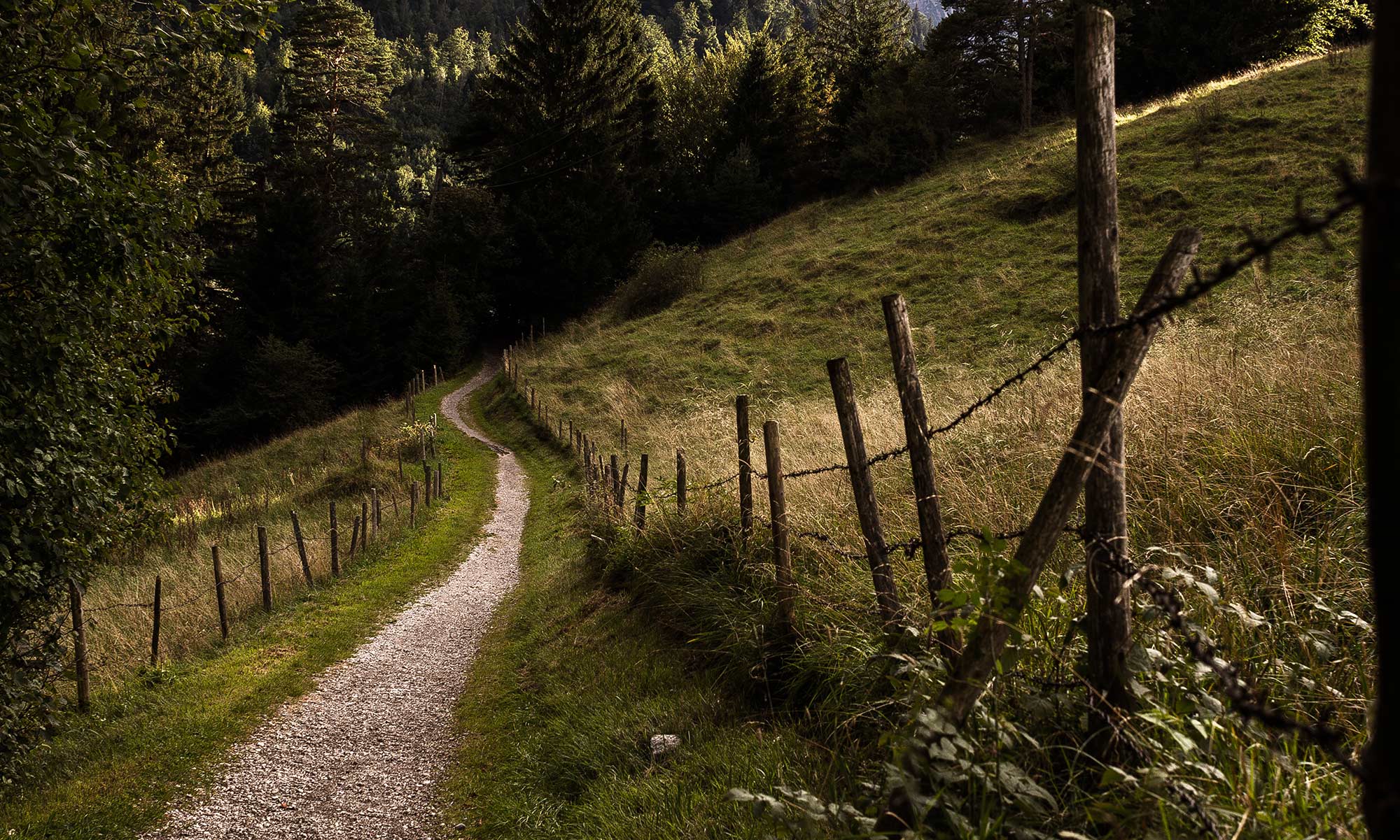 A winding countryside path